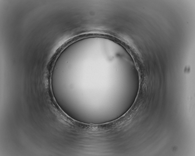 X0000097301360200802291804