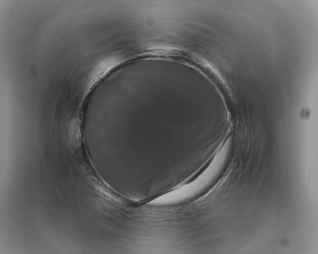 X0000097301362200802291804