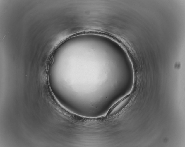 X0000097301363200802291804