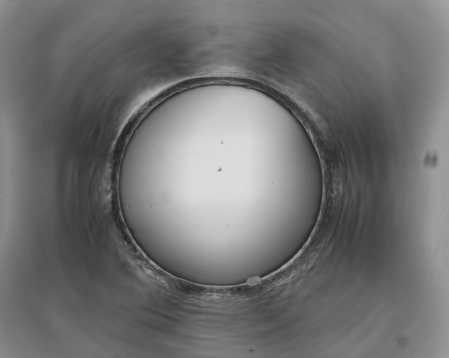 X0000097301364200802291804