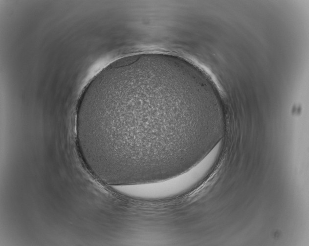 X0000097301365200802291804