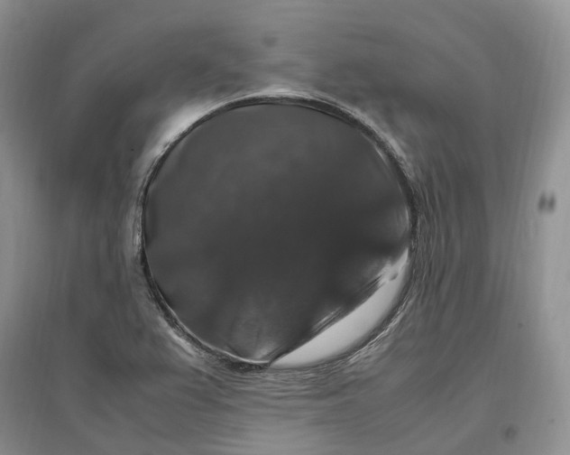 X0000097301367200802291804