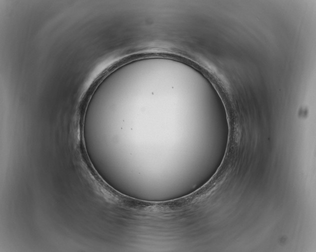 X0000097301368200802291804