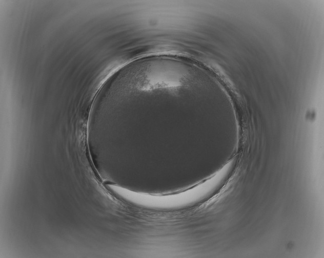 X0000097301369200802291804