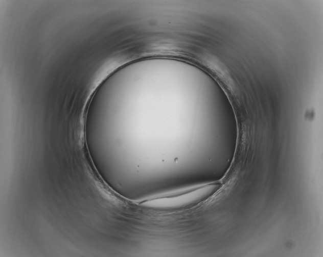 X0000097301370200802291804