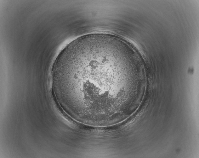 X0000097301371200802291804