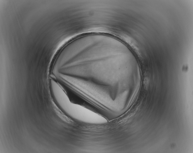 X0000097301372200802291804