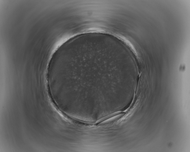 X0000097301373200802291804