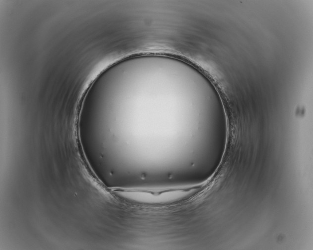 X0000097301374200802291804