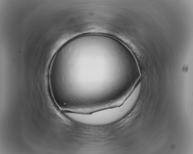 X0000097301375200802291804