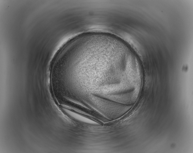 X0000097301376200802291804