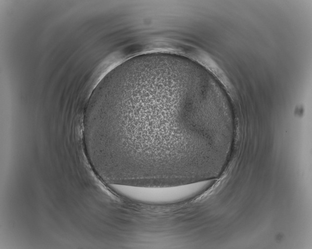 X0000097301377200802291804