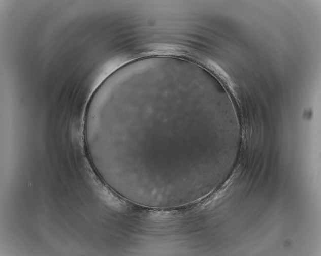 X0000097301378200802291804