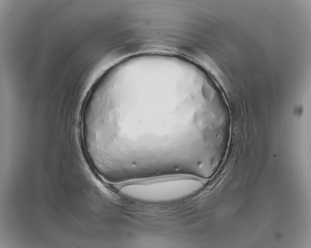 X0000097301379200802291804