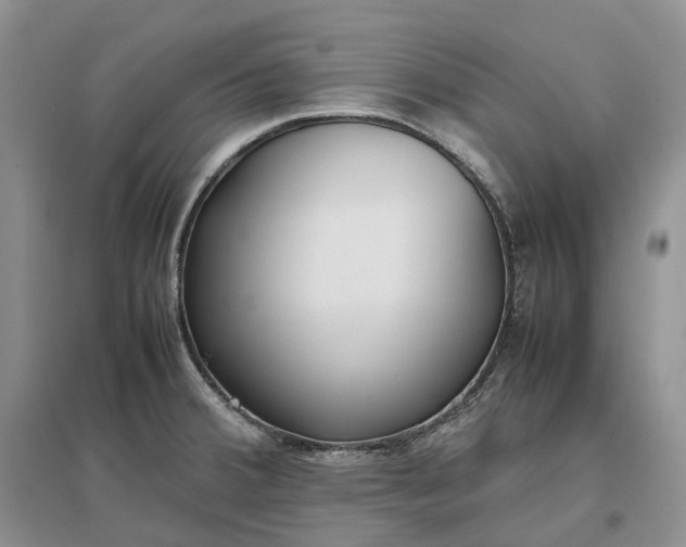 X0000097301380200802291804