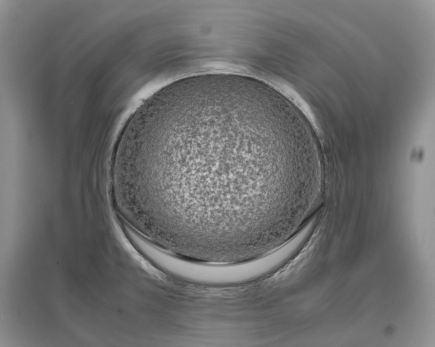 X0000097301381200802291804