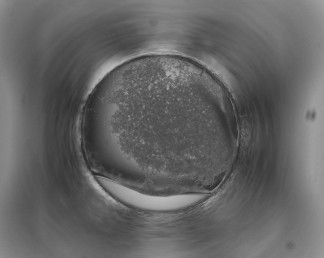 X0000097301382200802291804