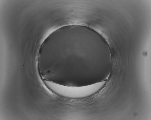 X0000097301383200802291804