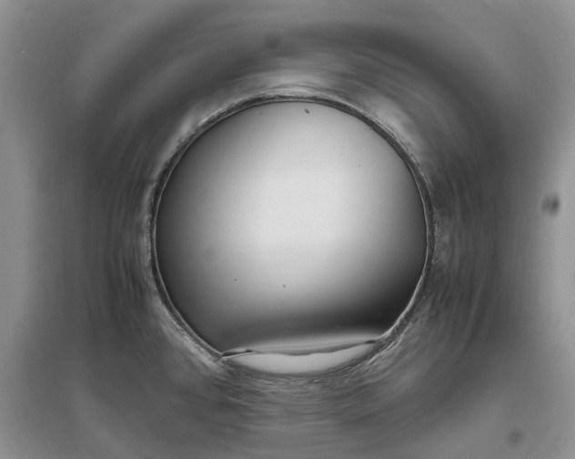 X0000097301384200802291804