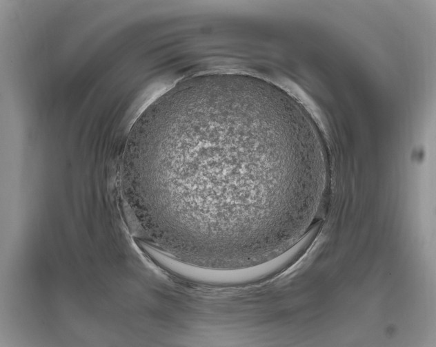 X0000097301385200802291804