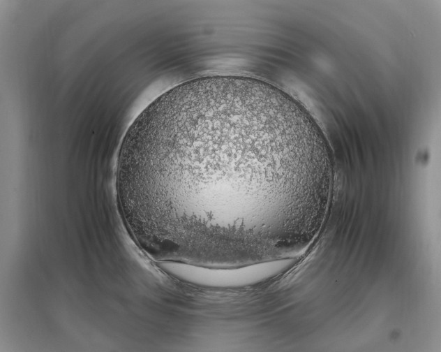 X0000097301386200802291804