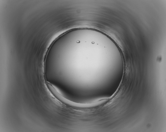 X0000097301388200802291804