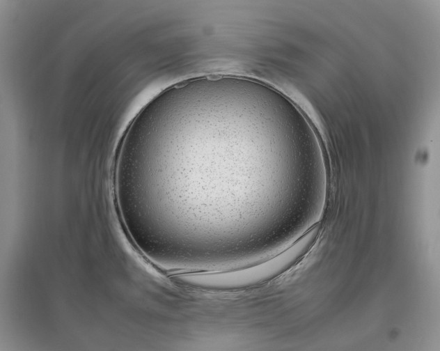 X0000097301389200802291804