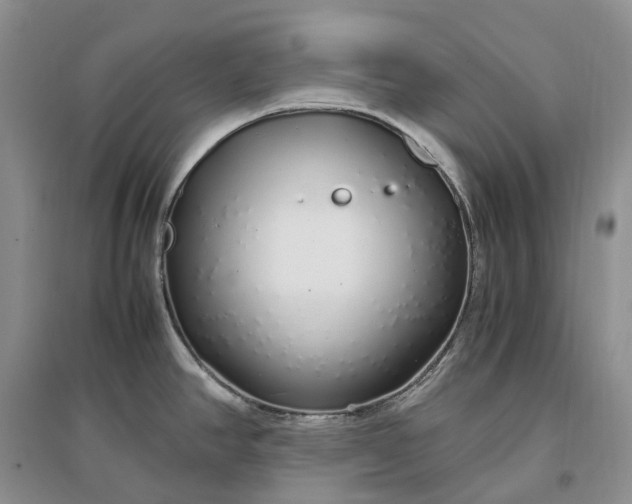 X0000097301390200802291804