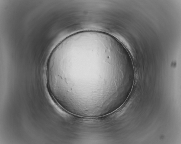 X0000097301391200802291804