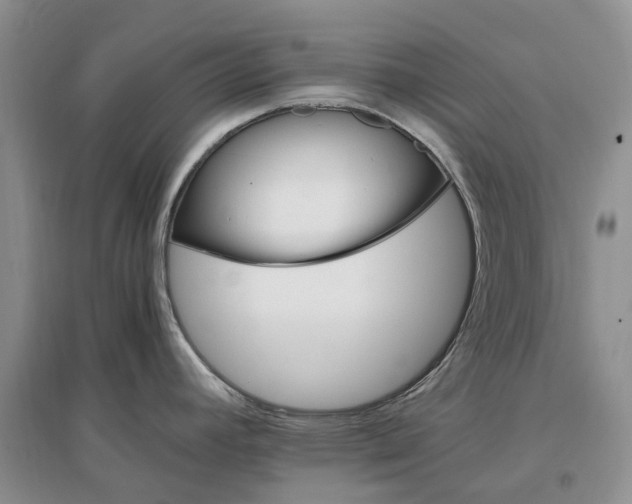 X0000097301392200802291804