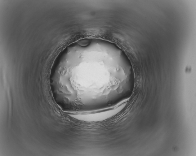 X0000097301393200802291803