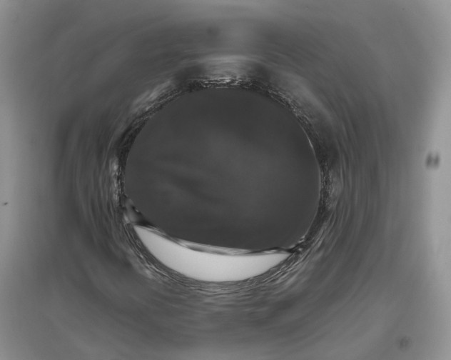 X0000097301394200802291803