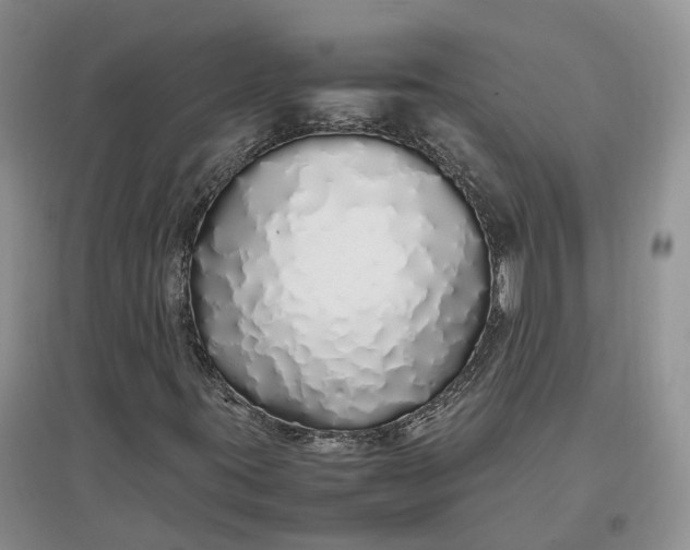 X0000097301395200802291803