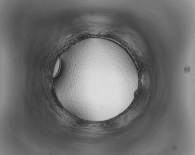 X0000097301396200802291803