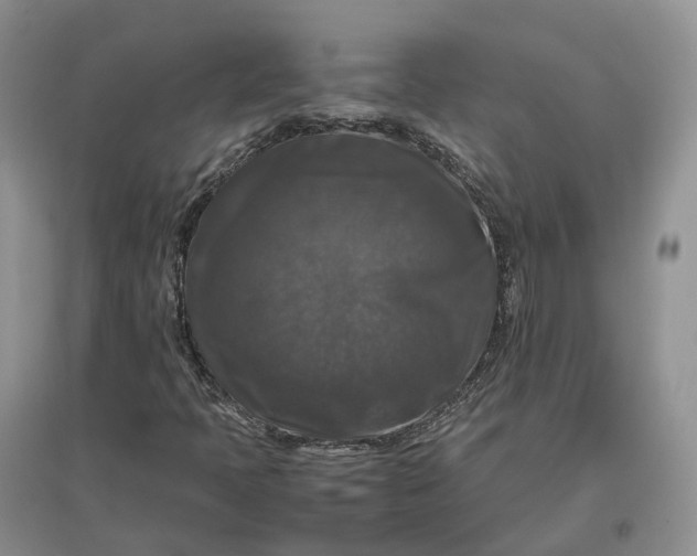 X0000097301397200802291803