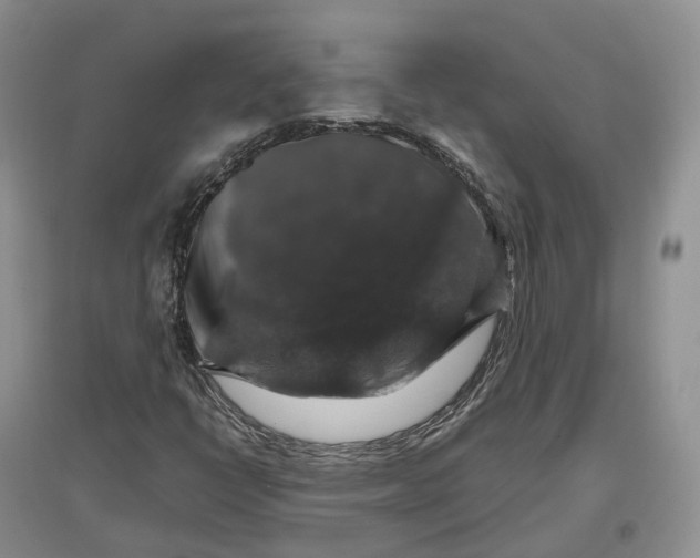 X0000097301398200802291803