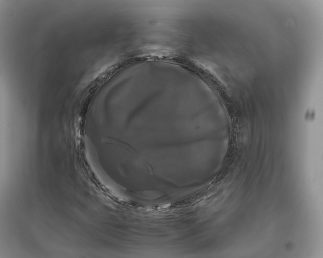 X0000097301399200802291803