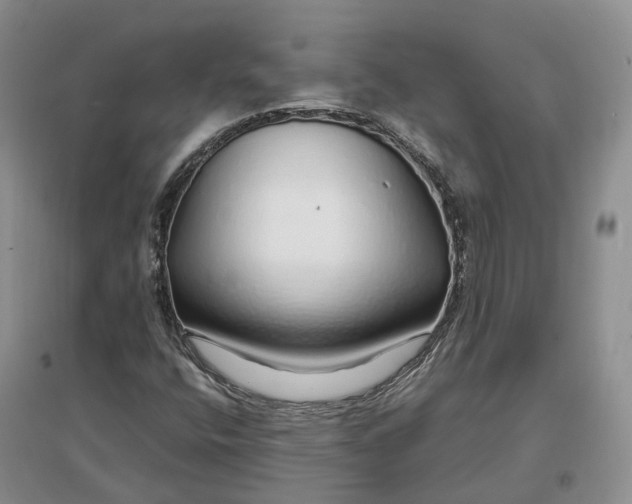 X0000097301400200802291803