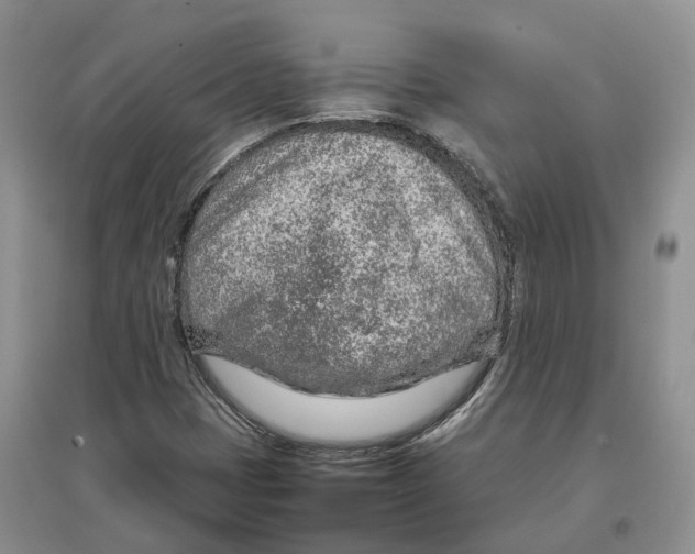 X0000097301401200802291803