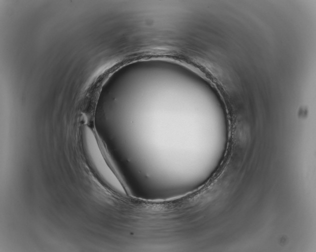 X0000097301402200802291803