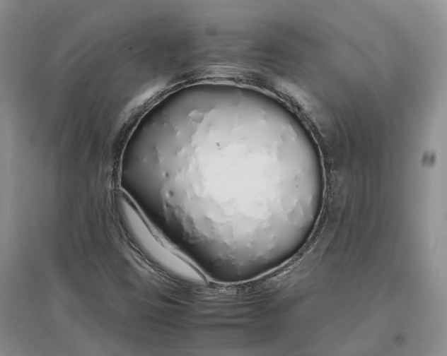 X0000097301403200802291803