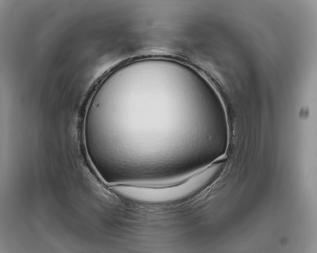 X0000097301404200802291803