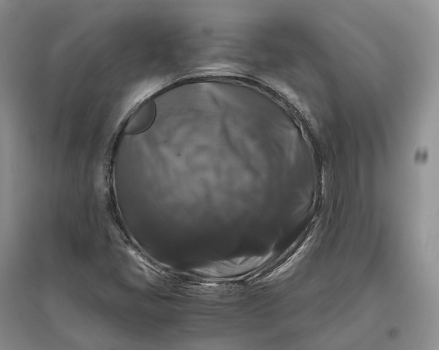 X0000097301405200802291803