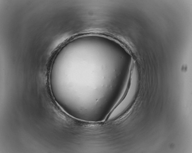 X0000097301406200802291803