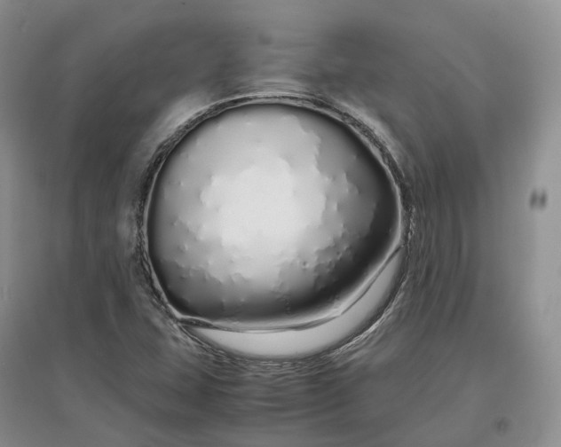 X0000097301407200802291803