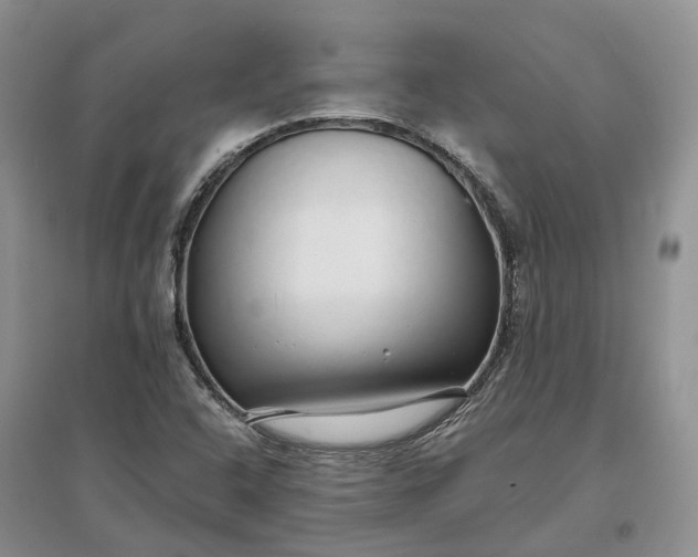 X0000097301408200802291803