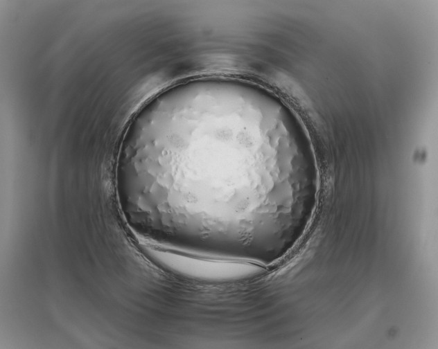 X0000097301409200802291803