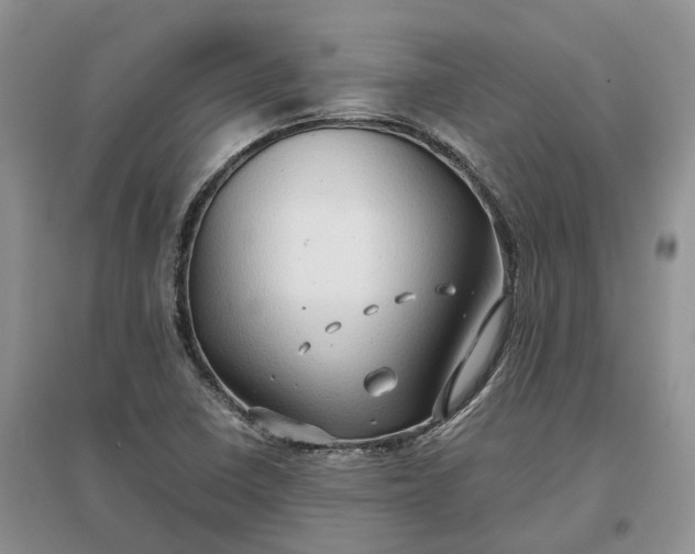 X0000097301410200802291803