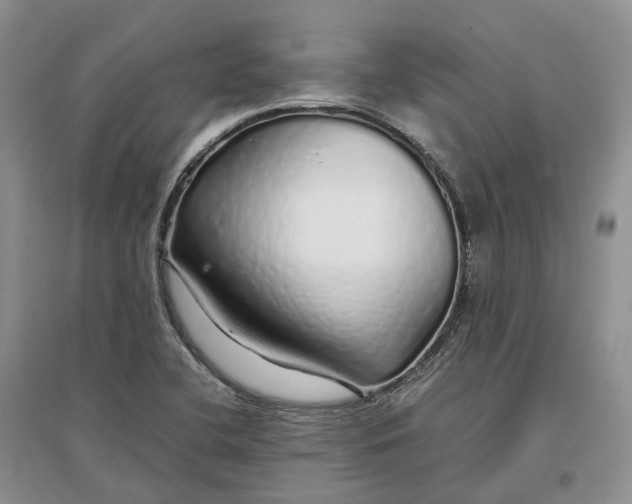 X0000097301412200802291803