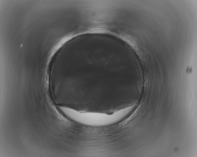 X0000097301414200802291803